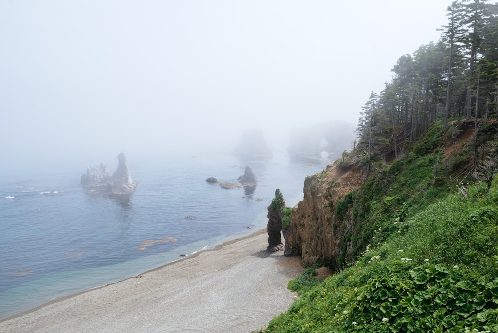 a rocky cliff with a body of water and trees on the side