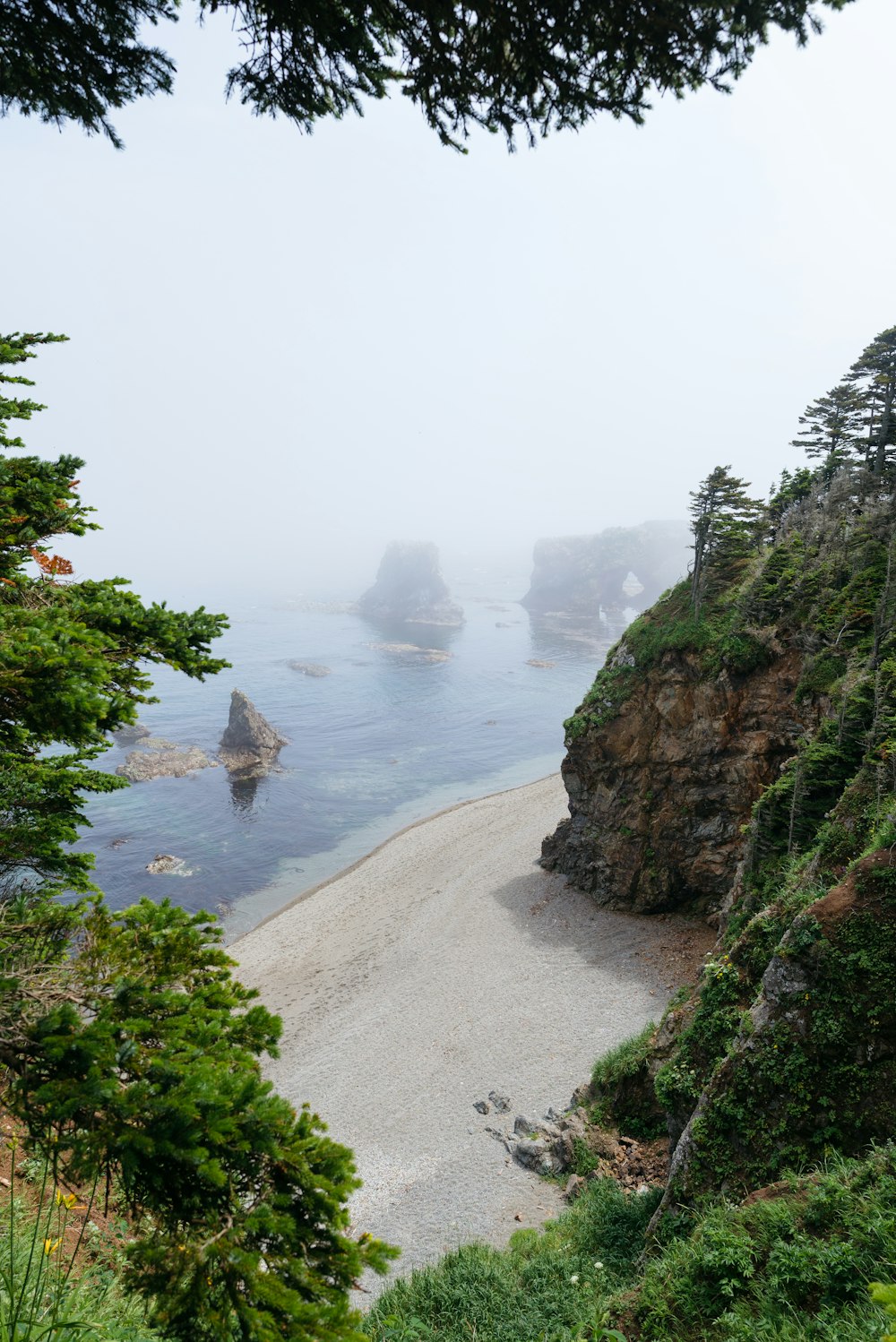 a beach with rocks and trees