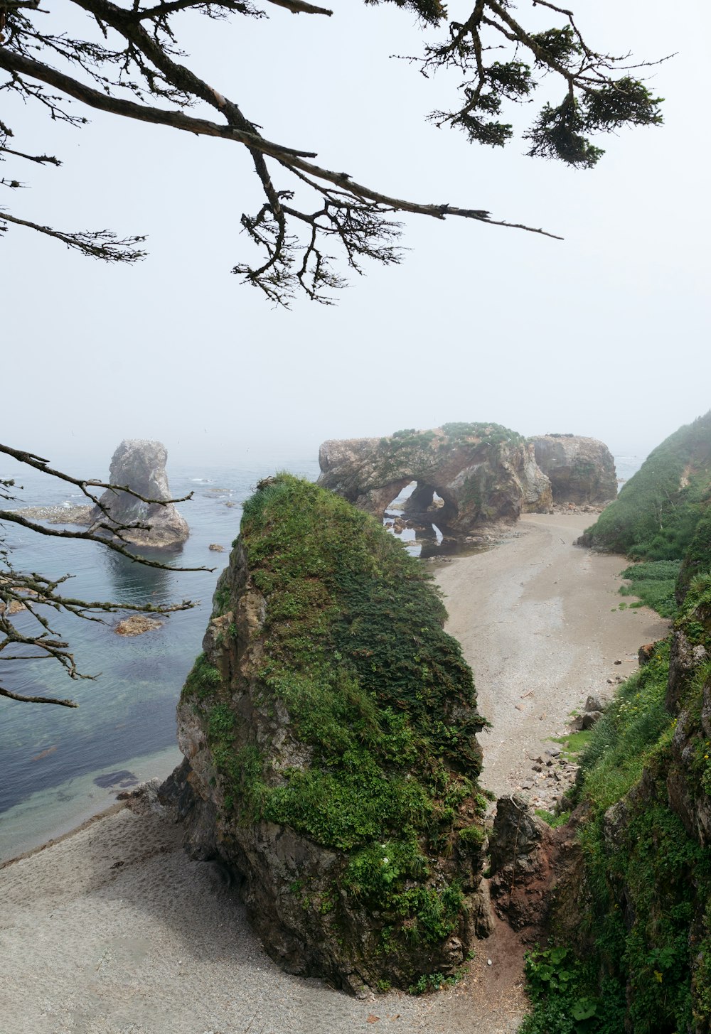 a beach with rocks and trees