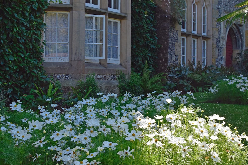 a garden in front of a building