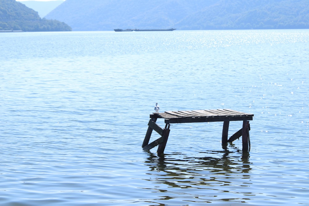 a bench in the middle of a body of water