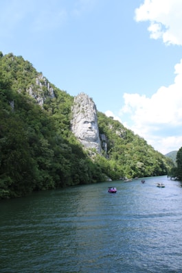 a body of water with boats and trees on the side