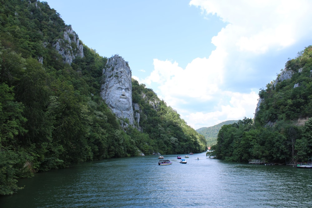 a body of water with boats and trees around it