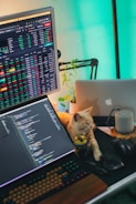 a cat sitting next to a laptop