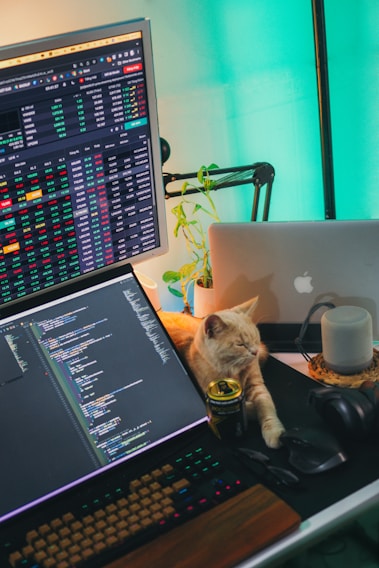 a cat sitting next to a laptop
