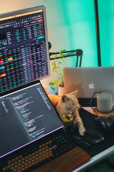 a cat sitting next to a laptop