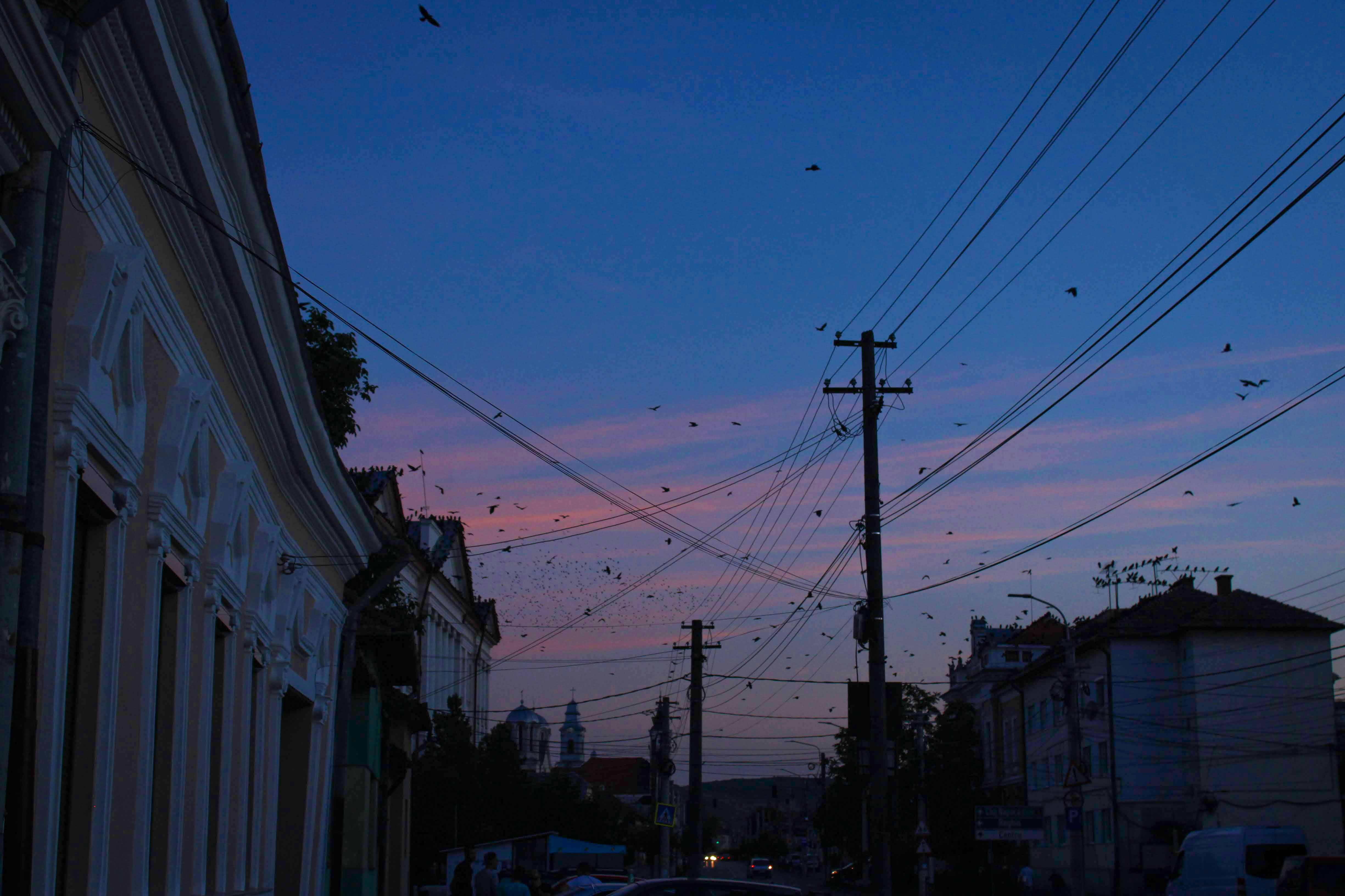 Photo by talon3383