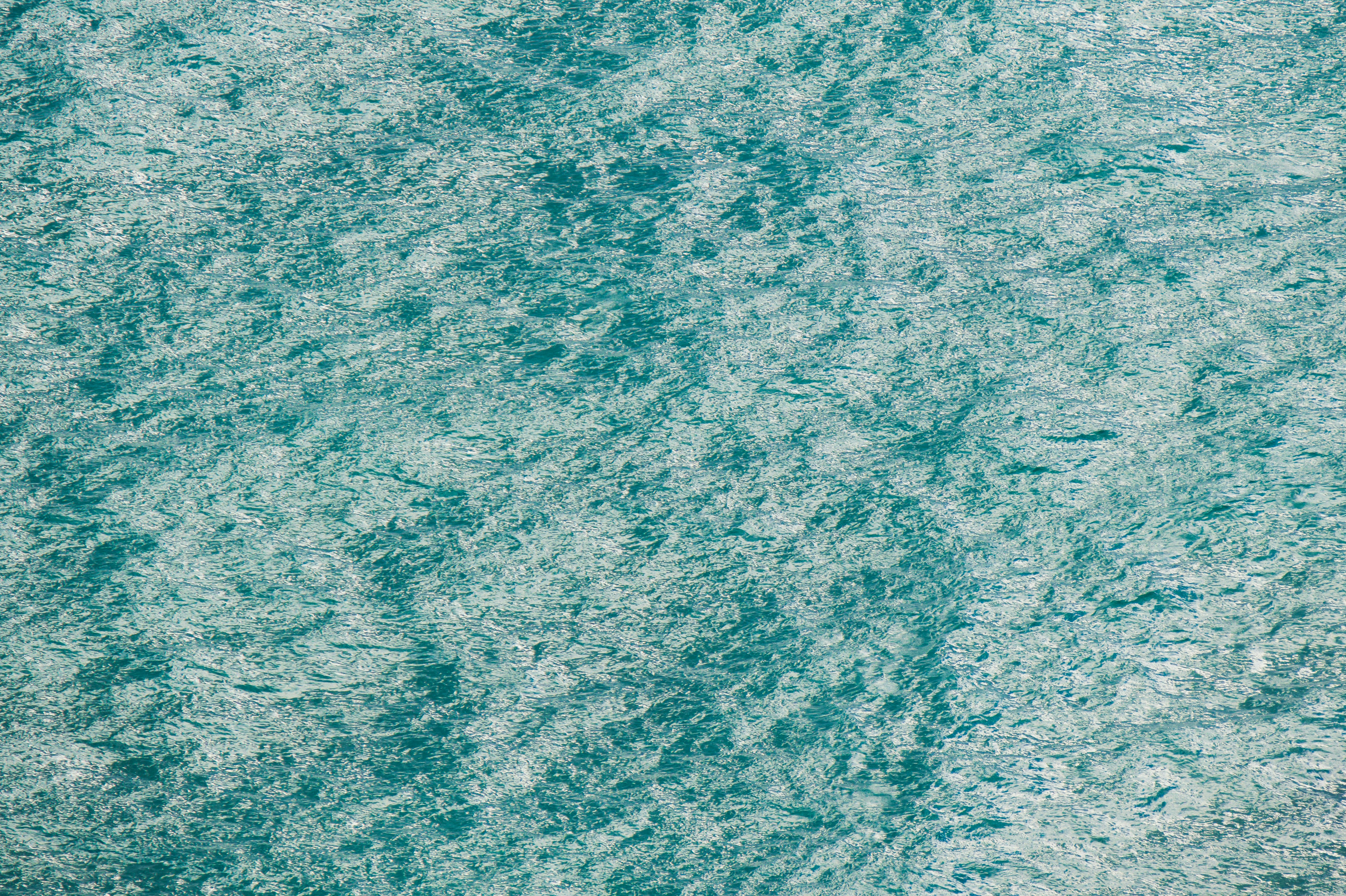 Photo by louloubphoto