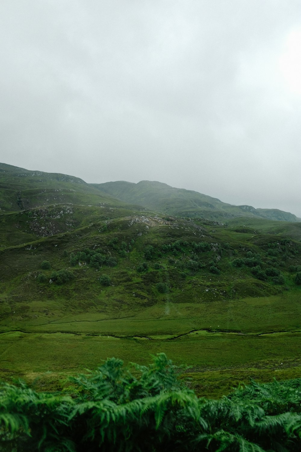 a green valley with trees