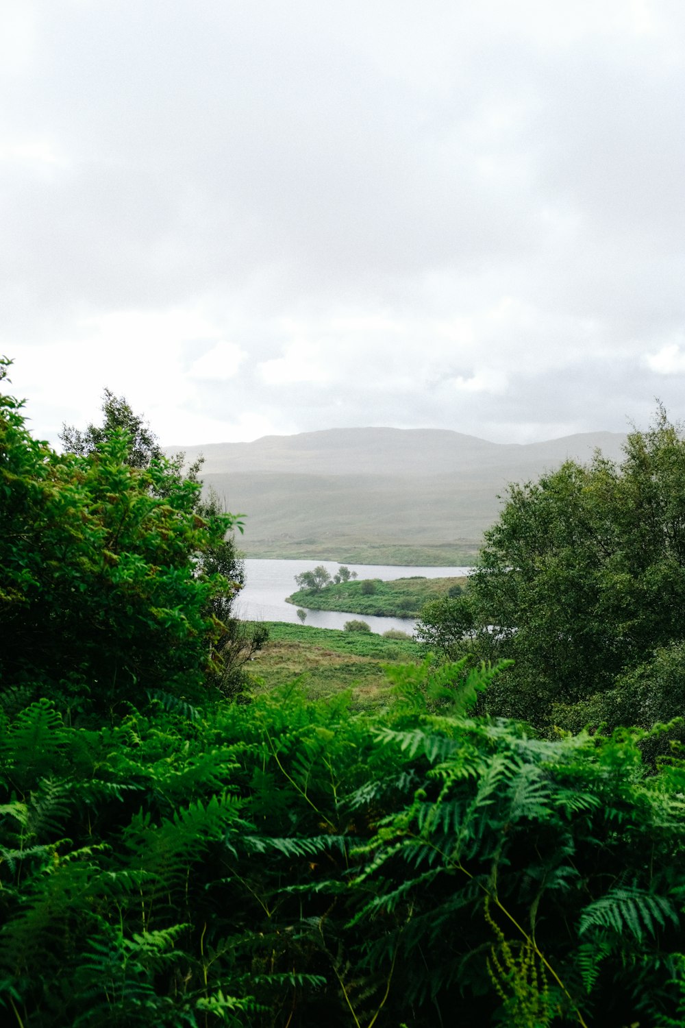 a view of a lake and mountains