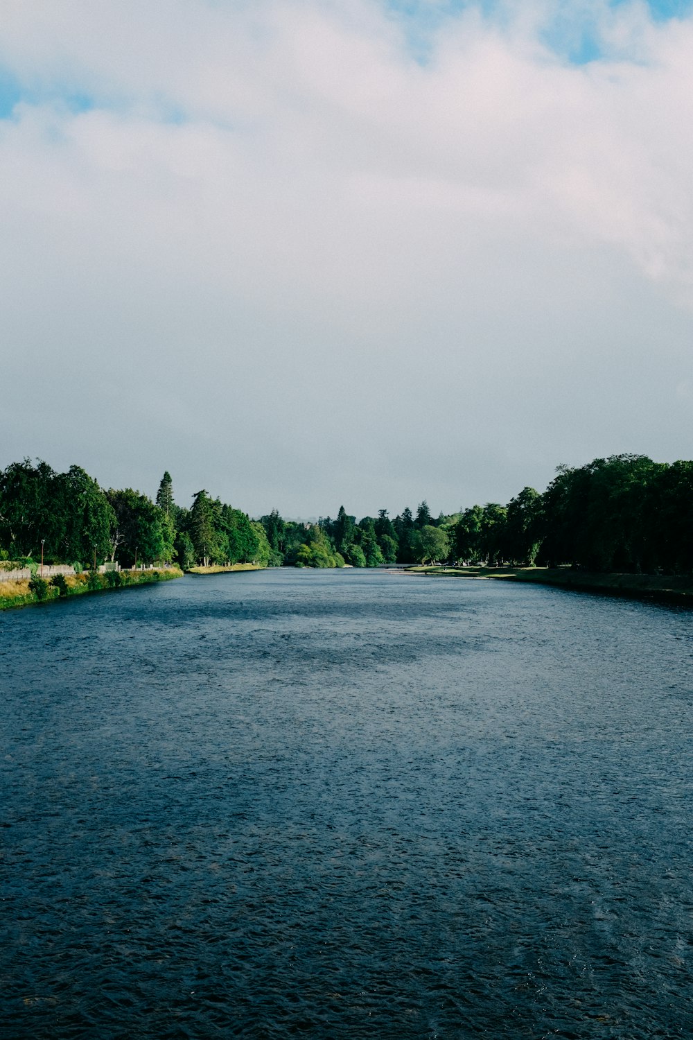 a body of water with trees around it