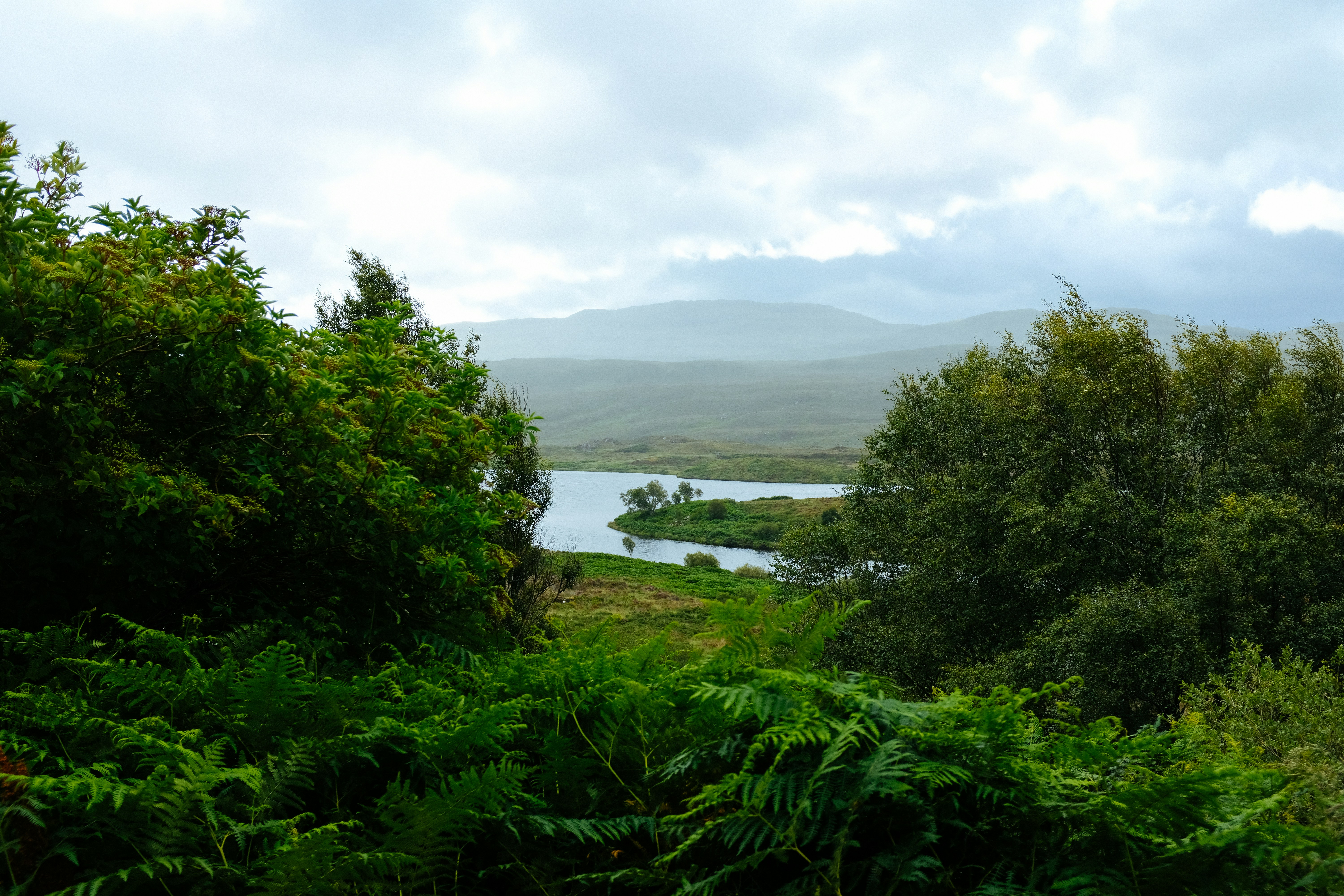 Photo by adrienolichon