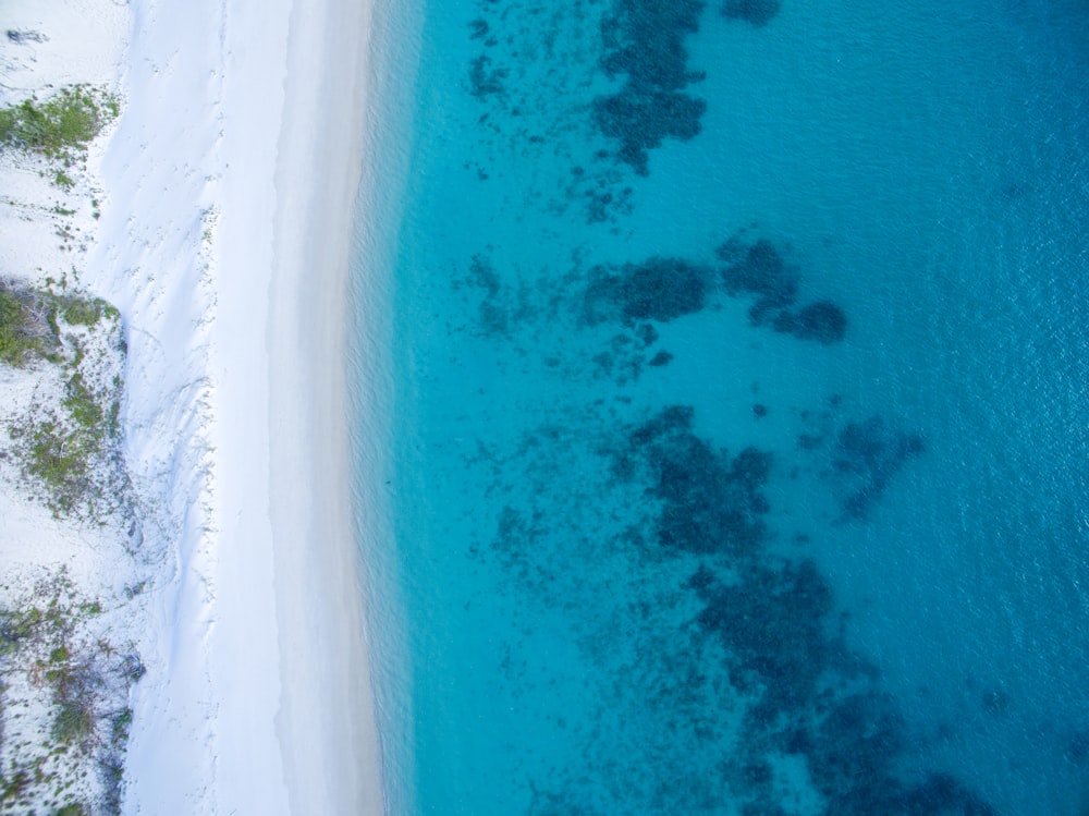 a body of water with trees around it