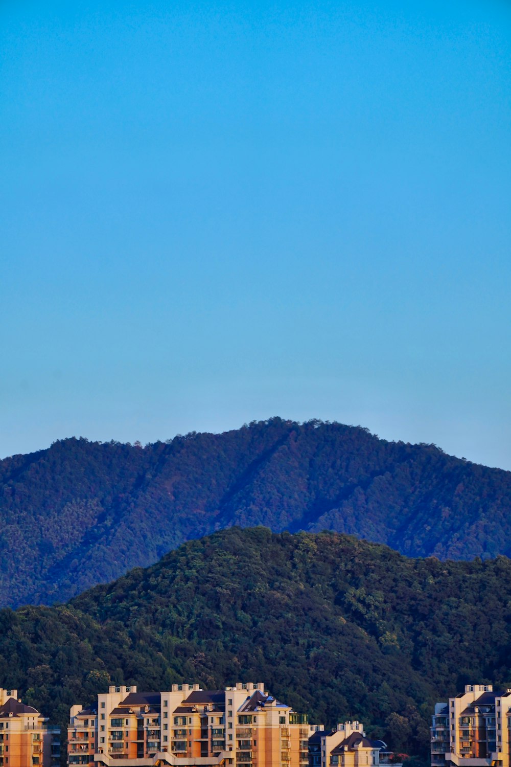 a group of buildings on a hill