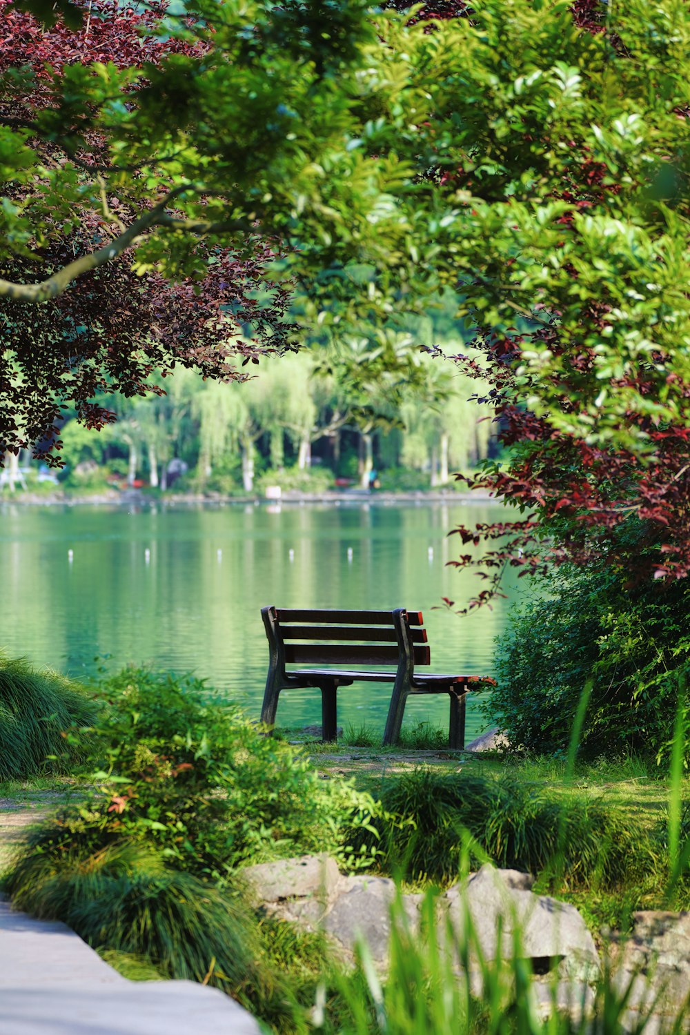a bench sits by a lake