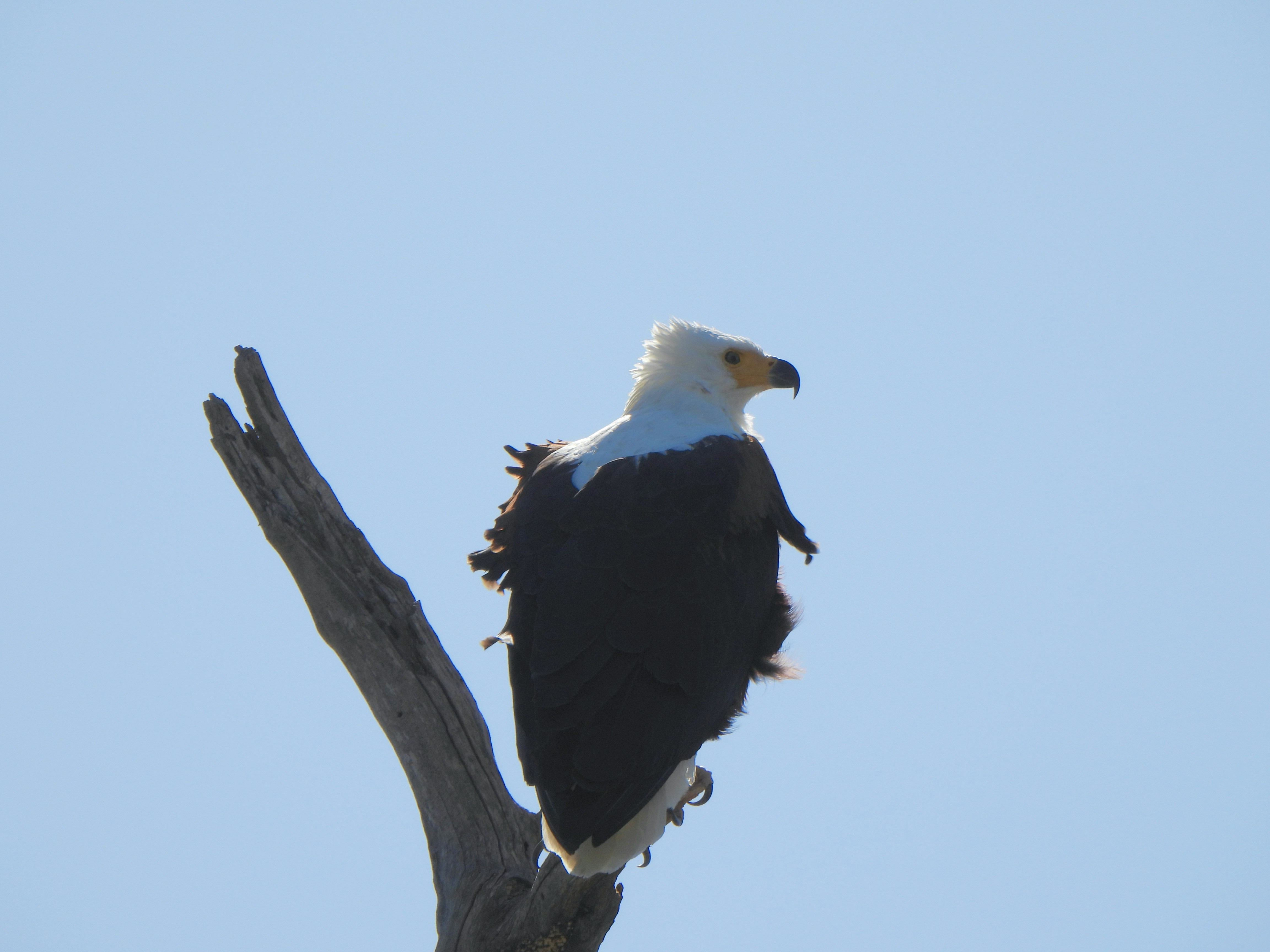 Photo by pisceserunt