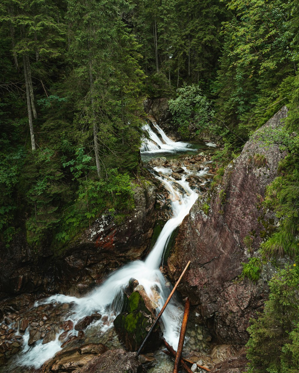 a waterfall in a forest