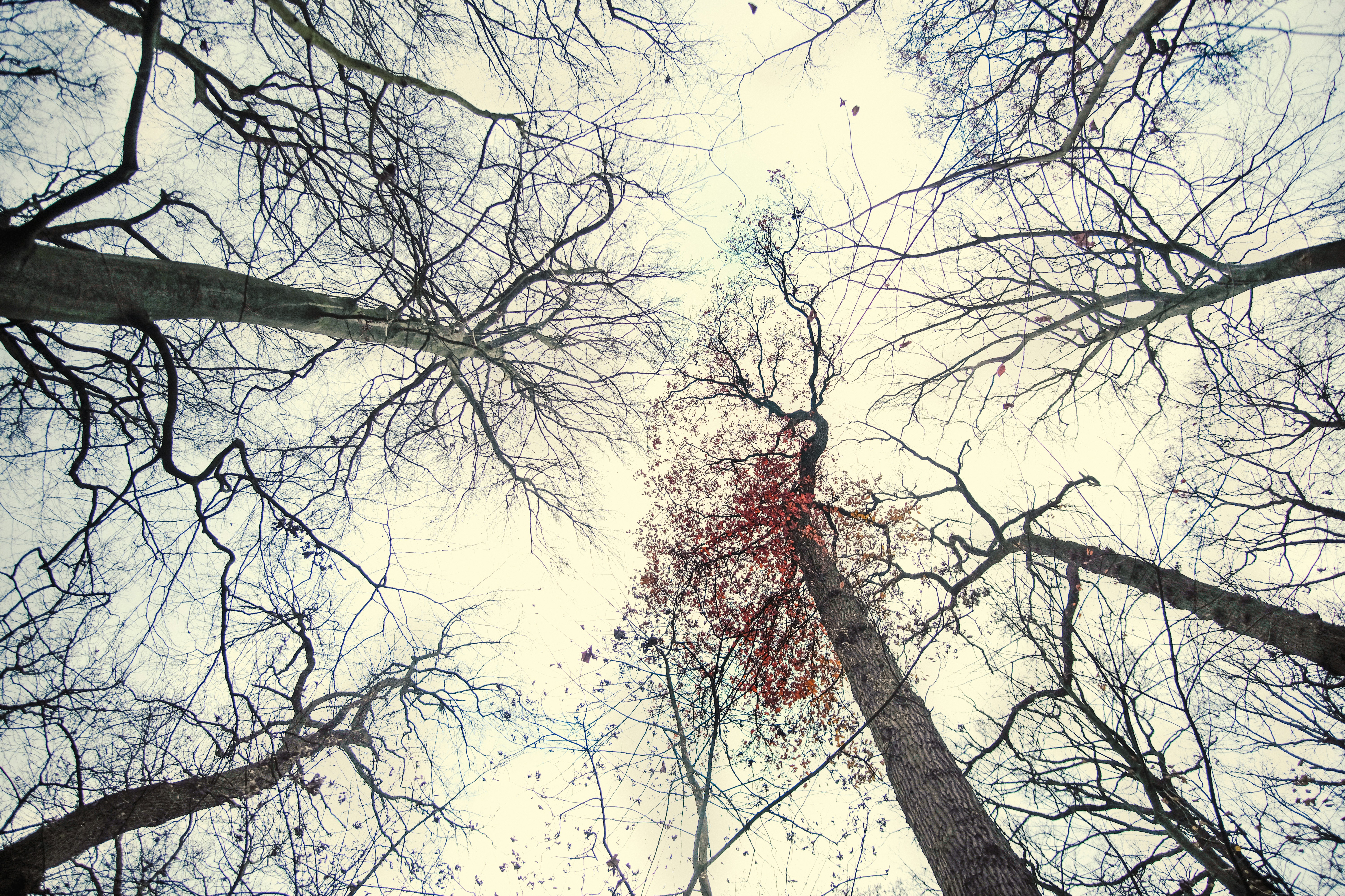 Photo by k_sariwating