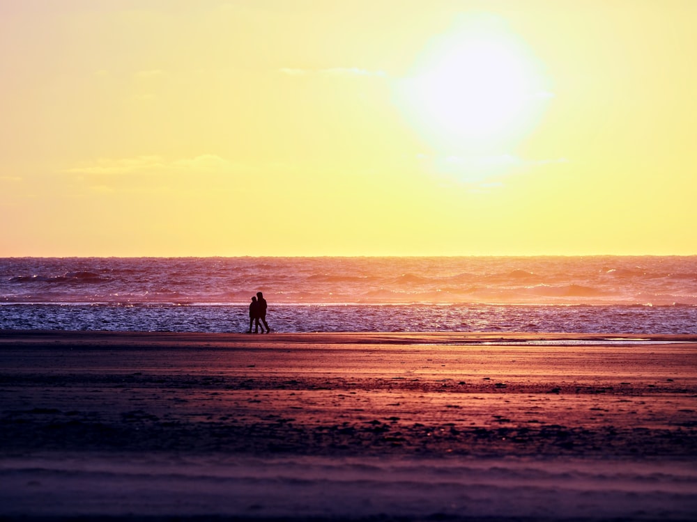 a person riding a horse on a beach