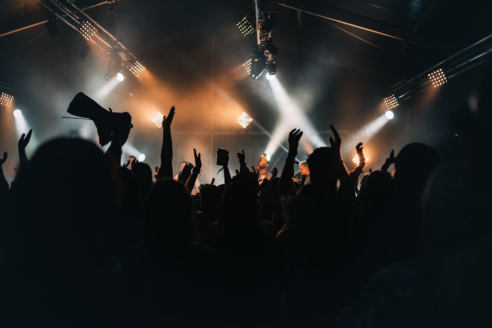 a crowd of people at a concert