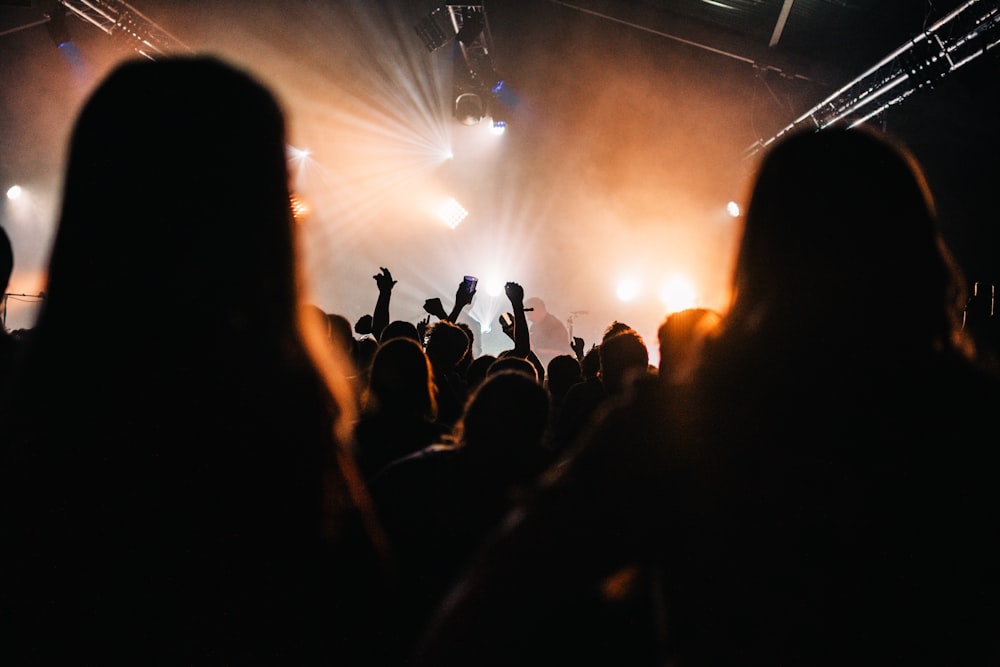 a crowd of people at a concert