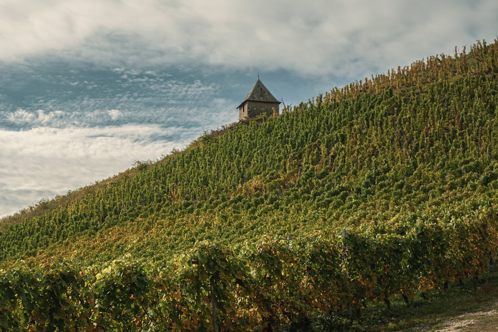 a building on a hill