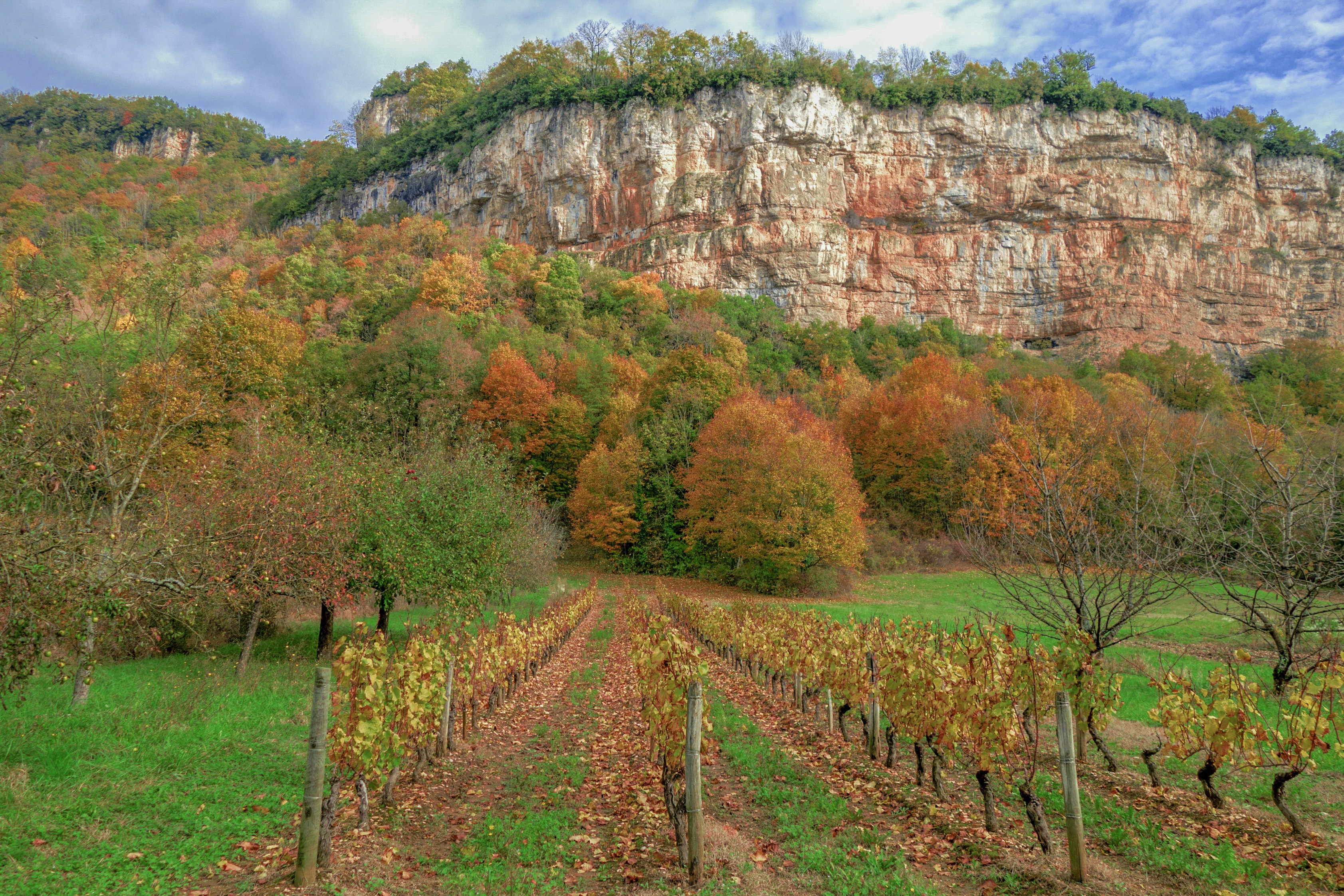 Image by Snap Wander via Unsplash