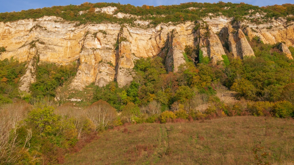 a rocky mountain with trees