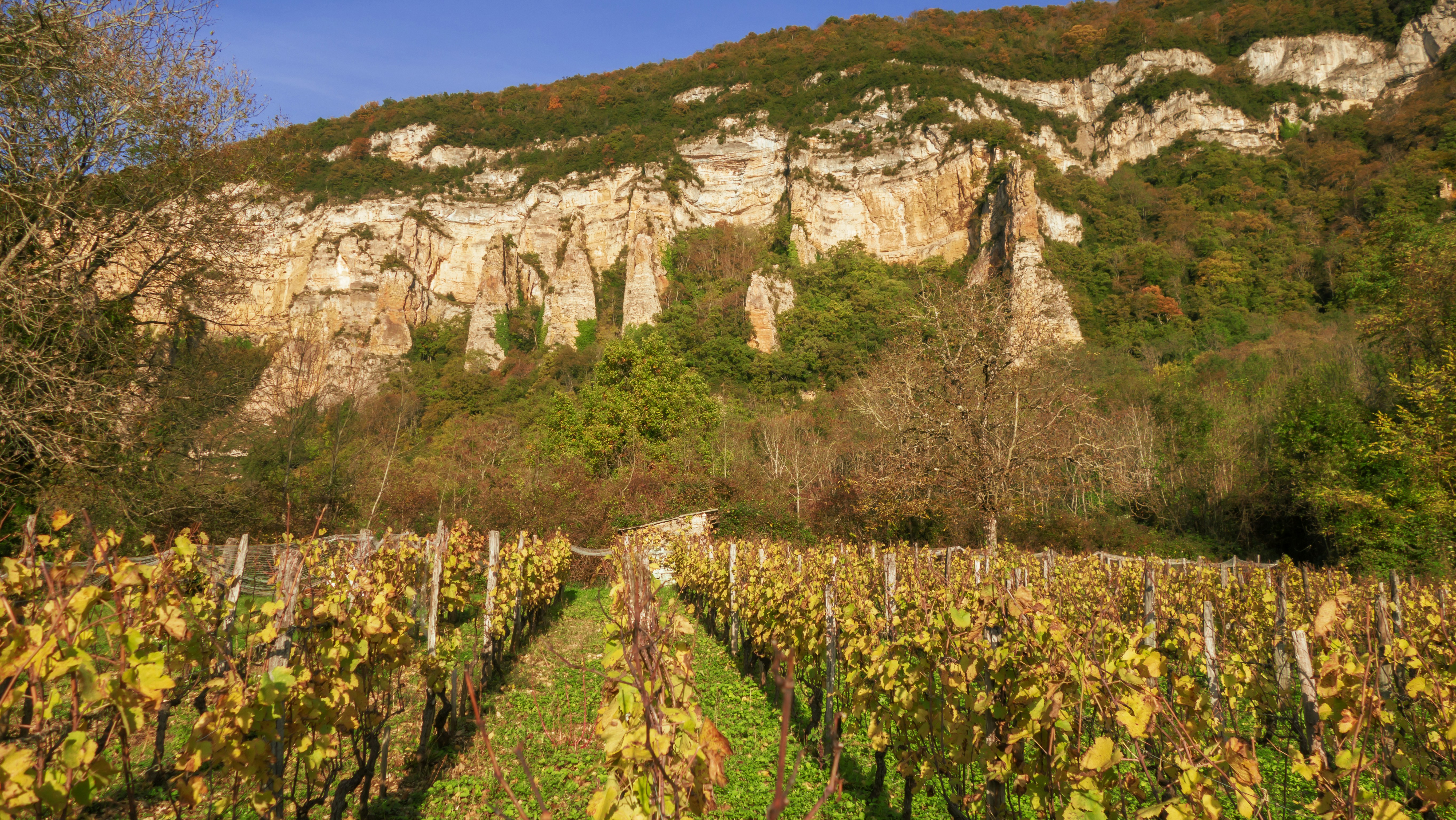 29 ans de cave à vin, et Frédéric Thou balance tout