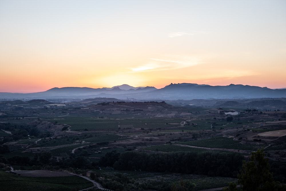 a landscape with trees and mountains in the background