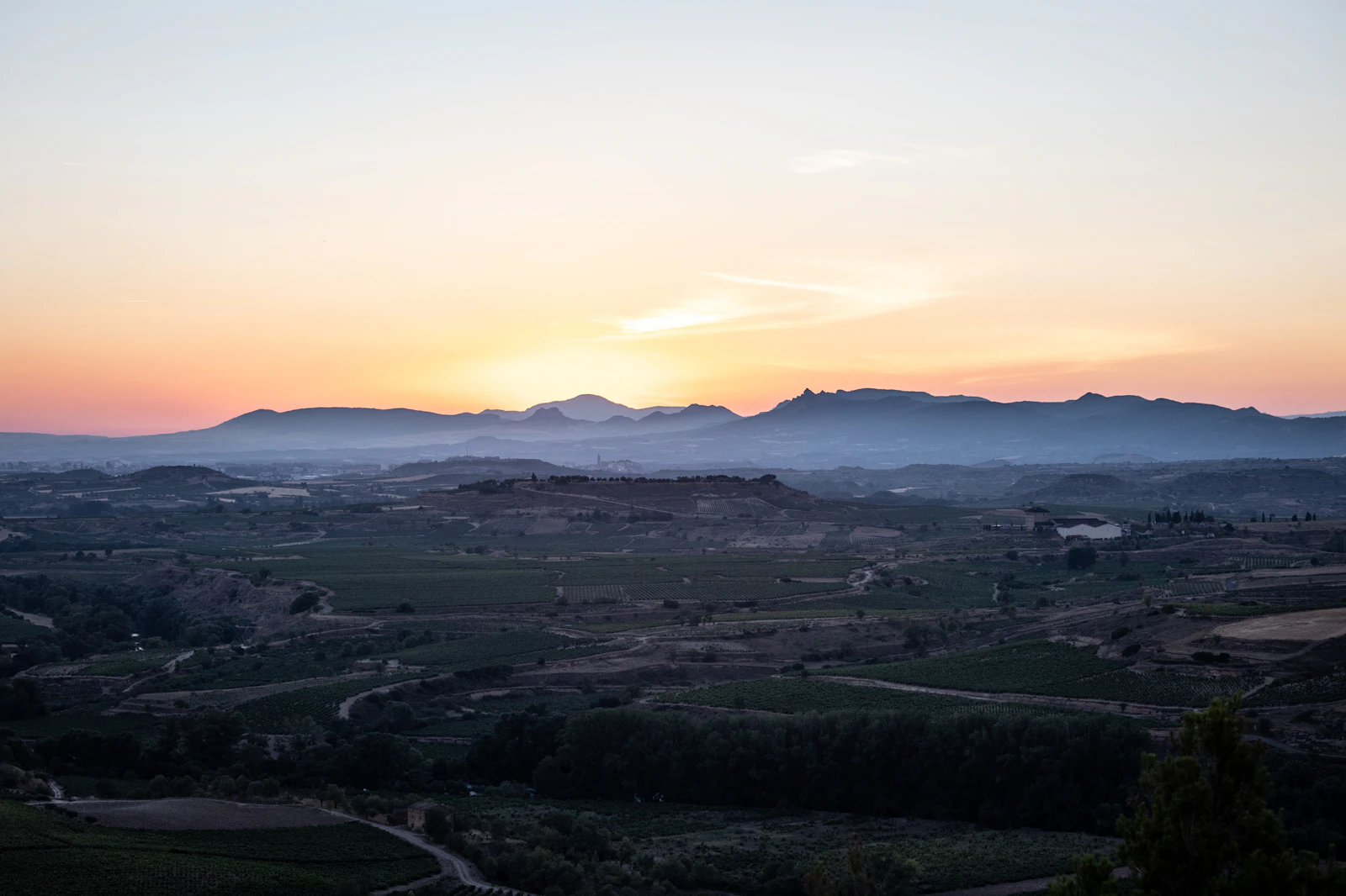 Brunello di Montalcino vineyard landscape