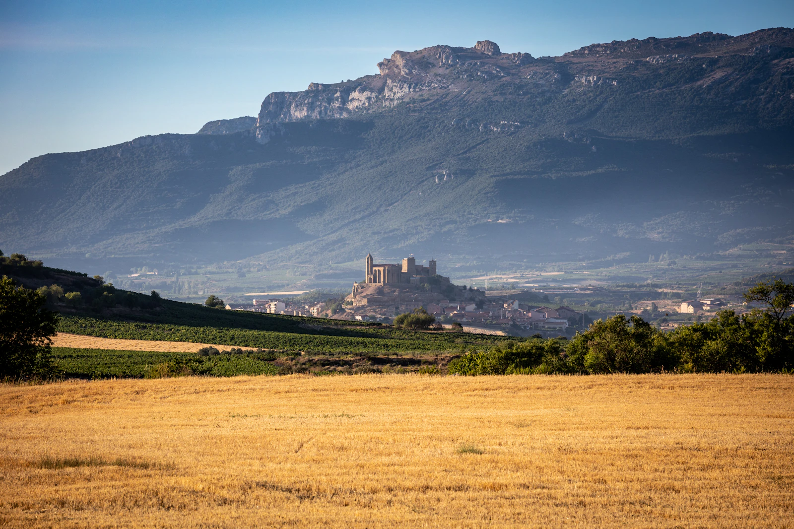 Rioja vineyard landscape