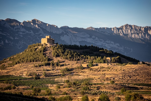 Rioja vineyard landscape