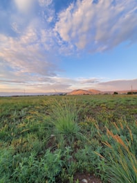 A vast green field with rolling hills and a bright sunrise in the background.