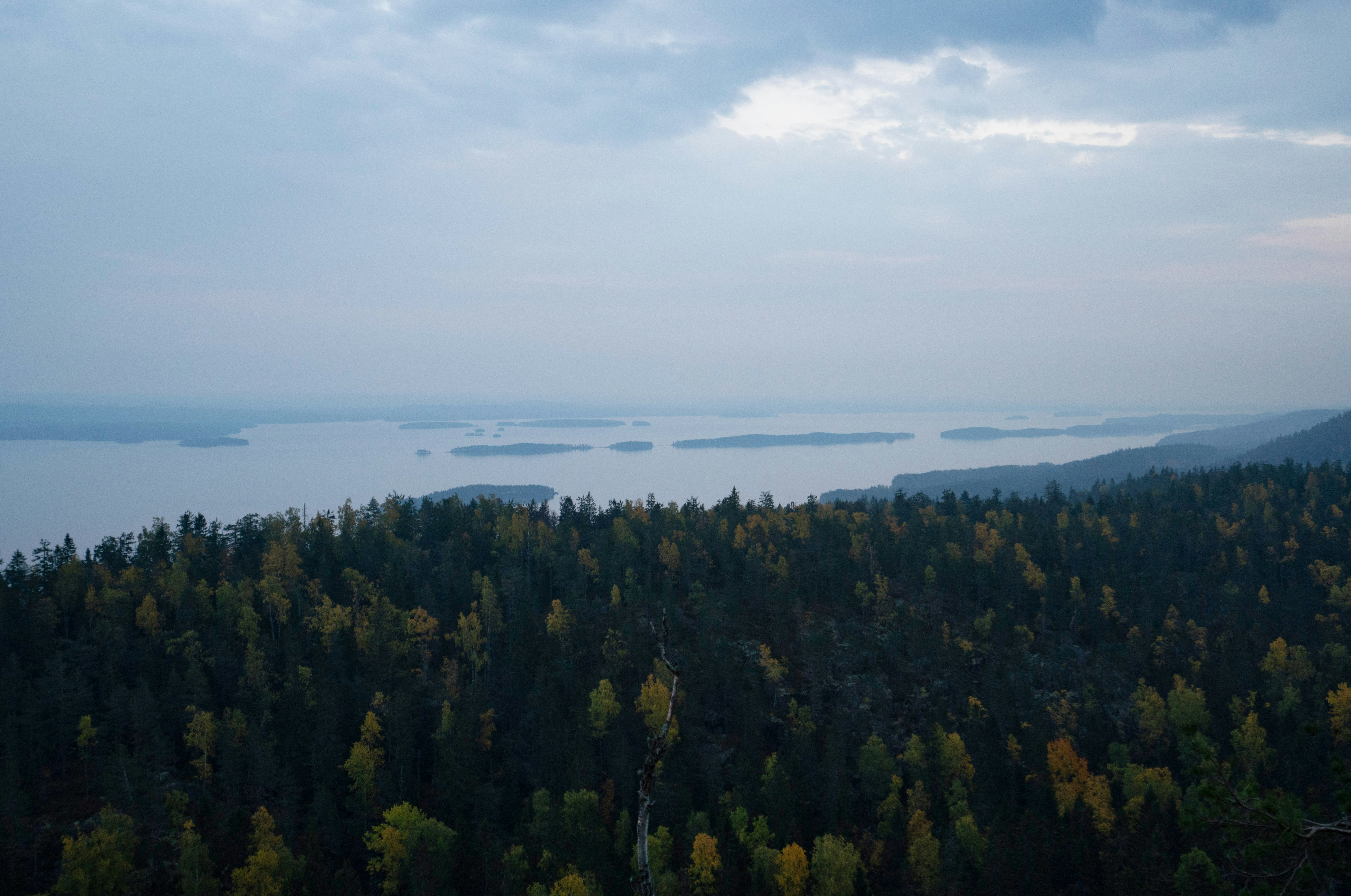 Photo by datingjungle