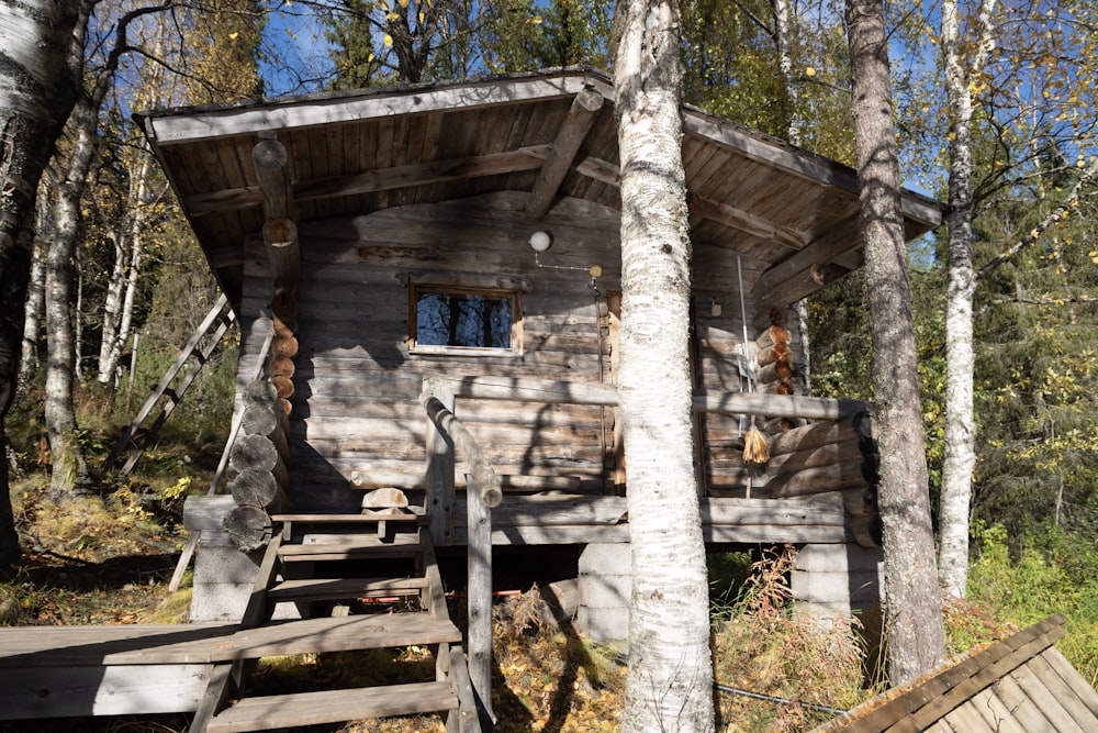 Una cabaña de troncos en el bosque