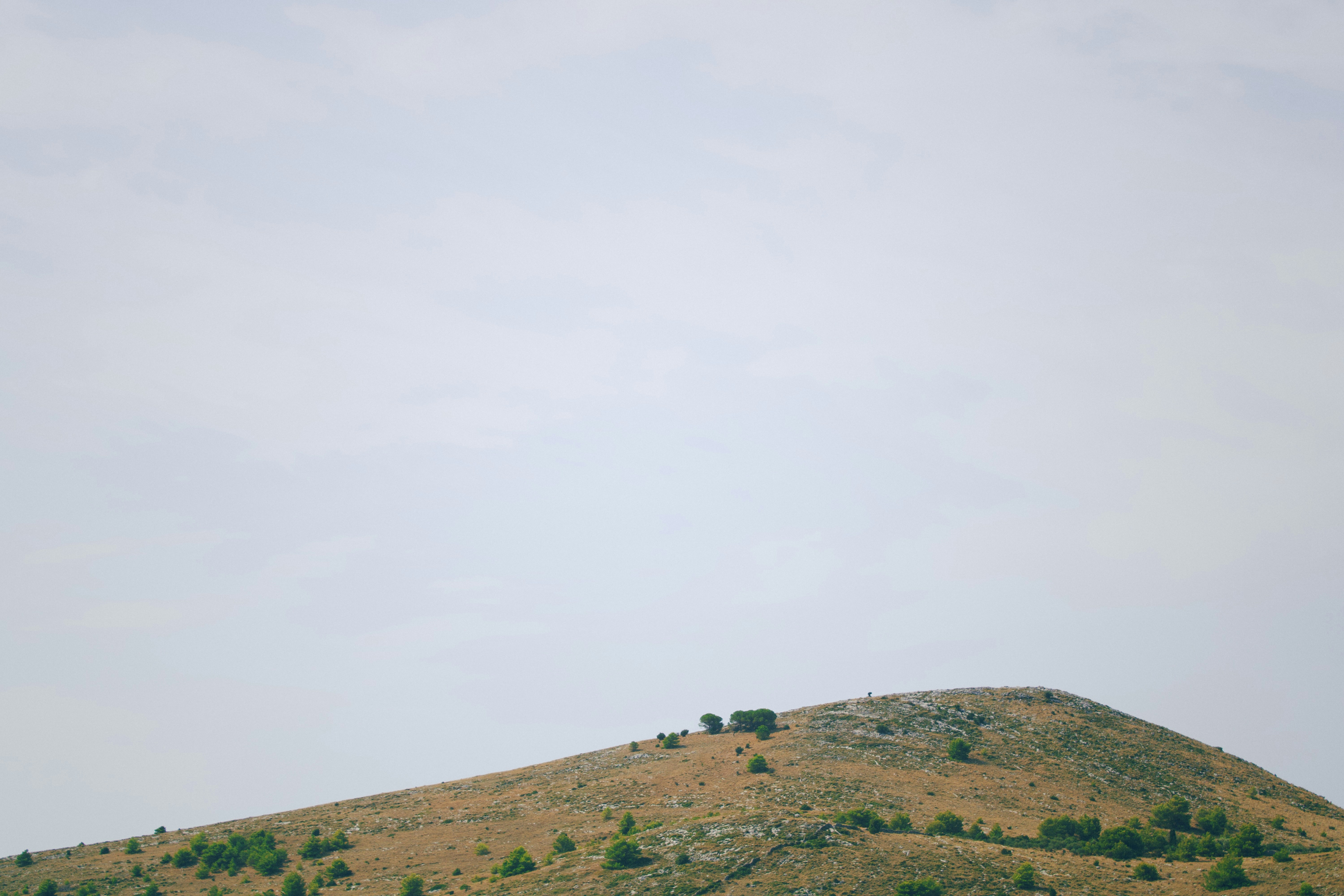 Photo by johnfdillinger