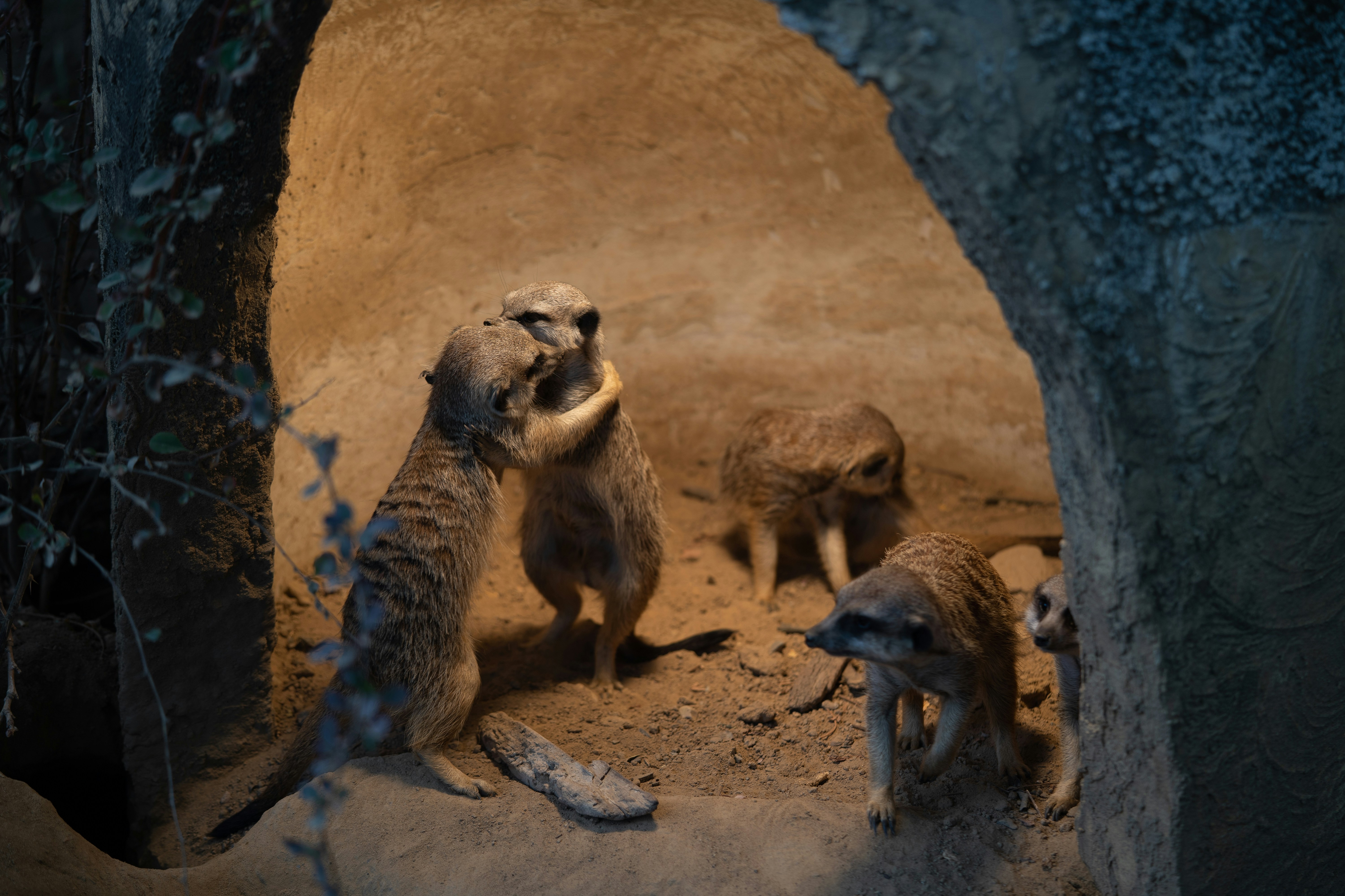 Animals That Defy the Odds (image credits: unsplash)