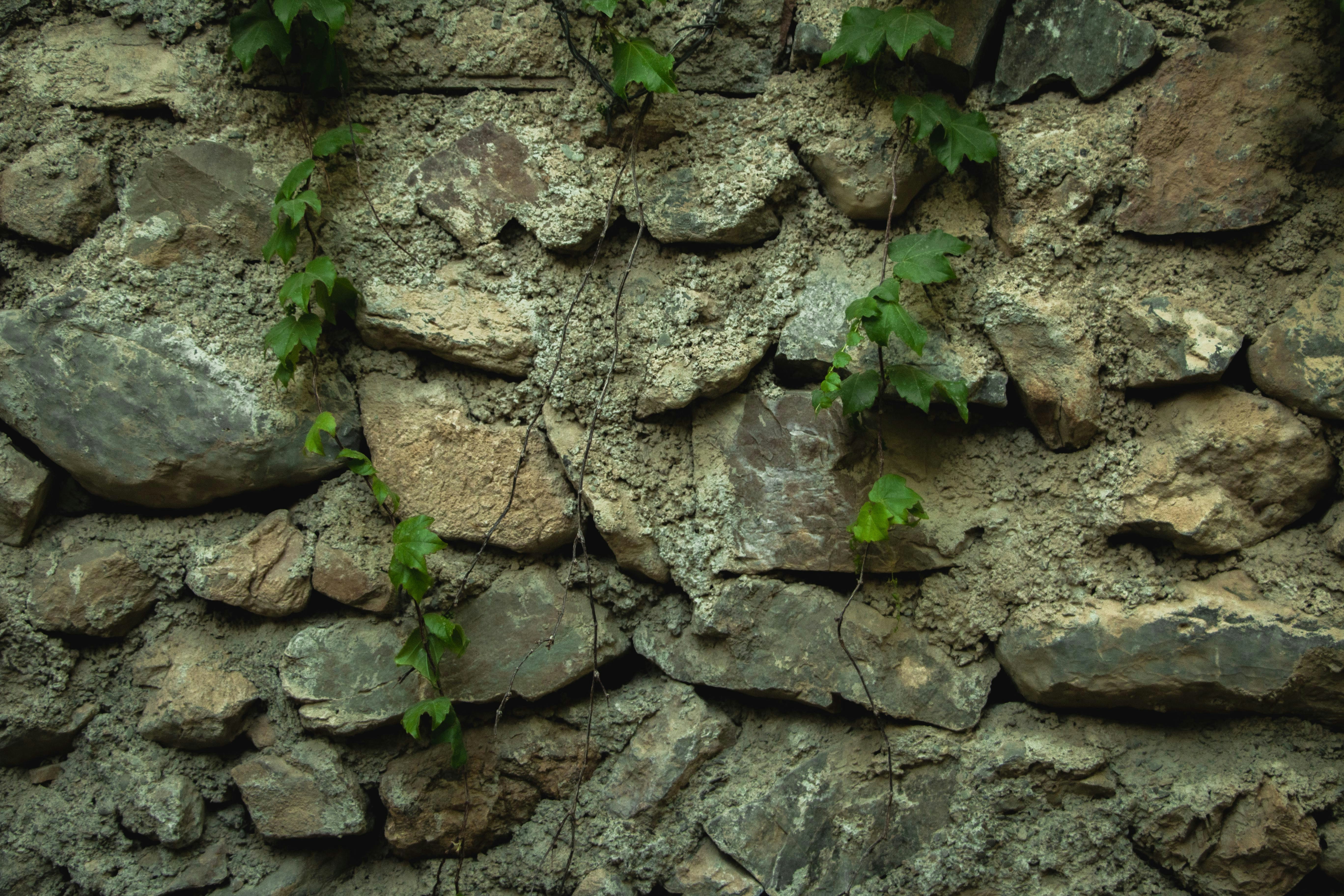 Photo by razipourjafari