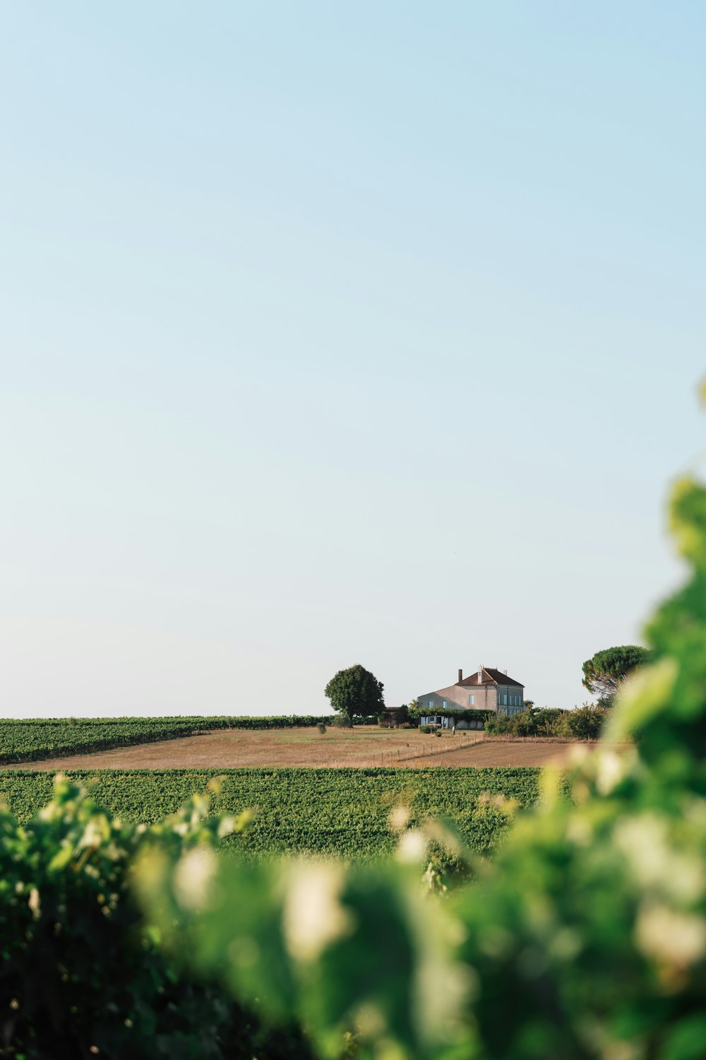 a farm house in the middle of a field