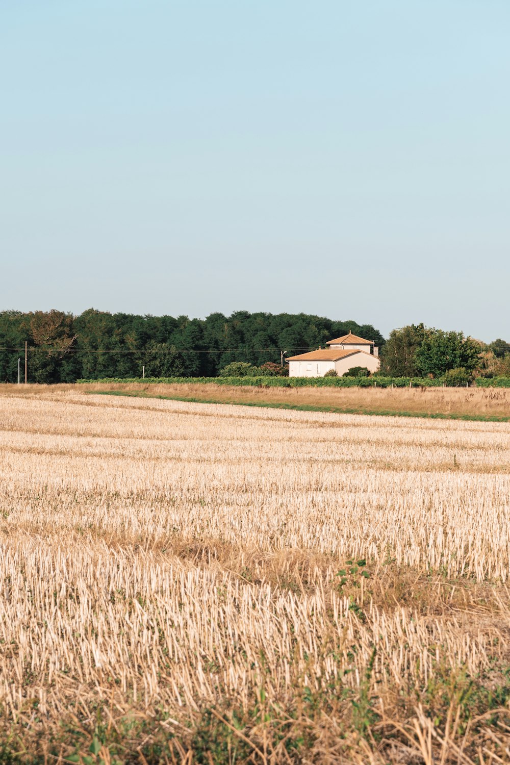 a house in a field