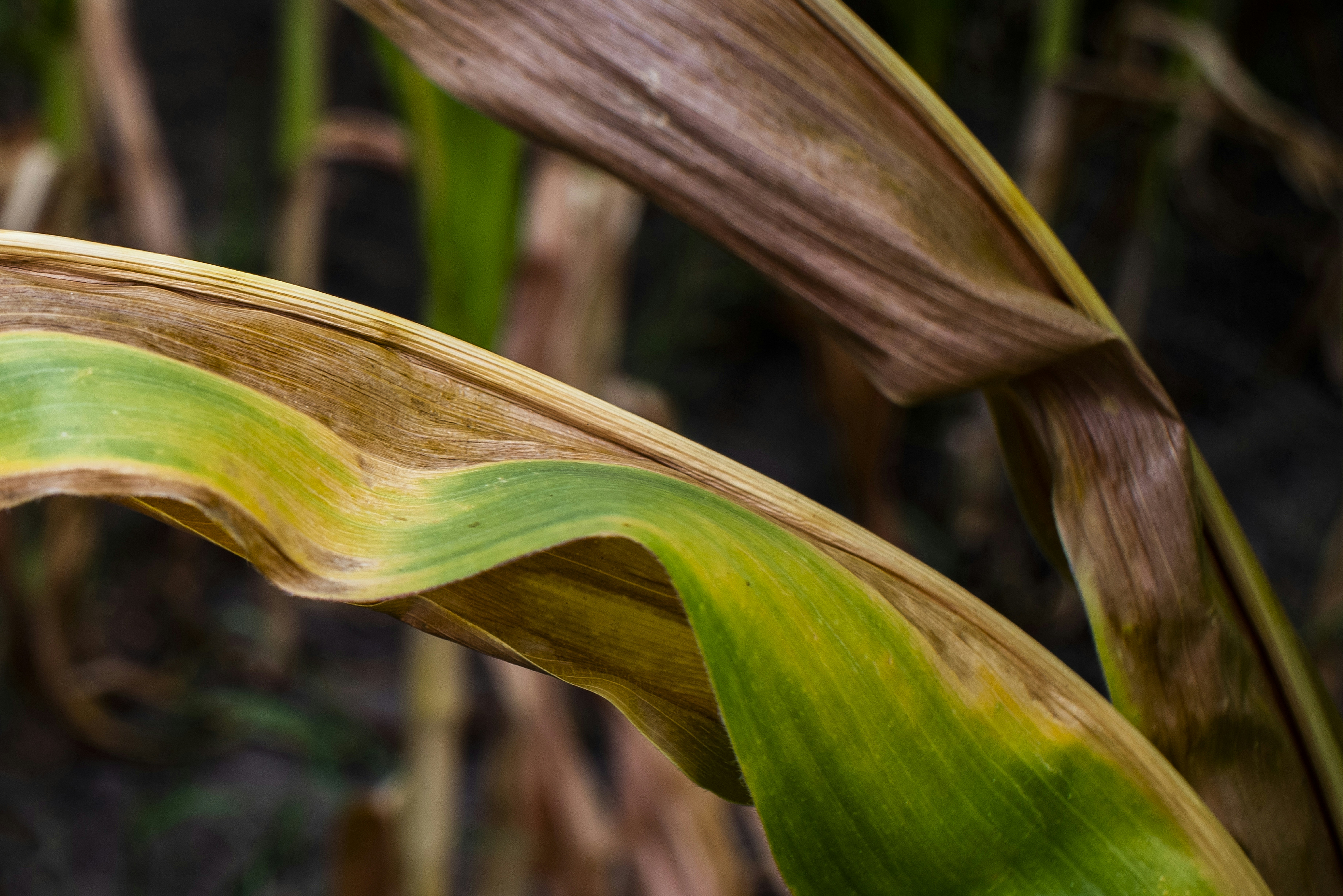 Photo by switch_dtp_fotografie