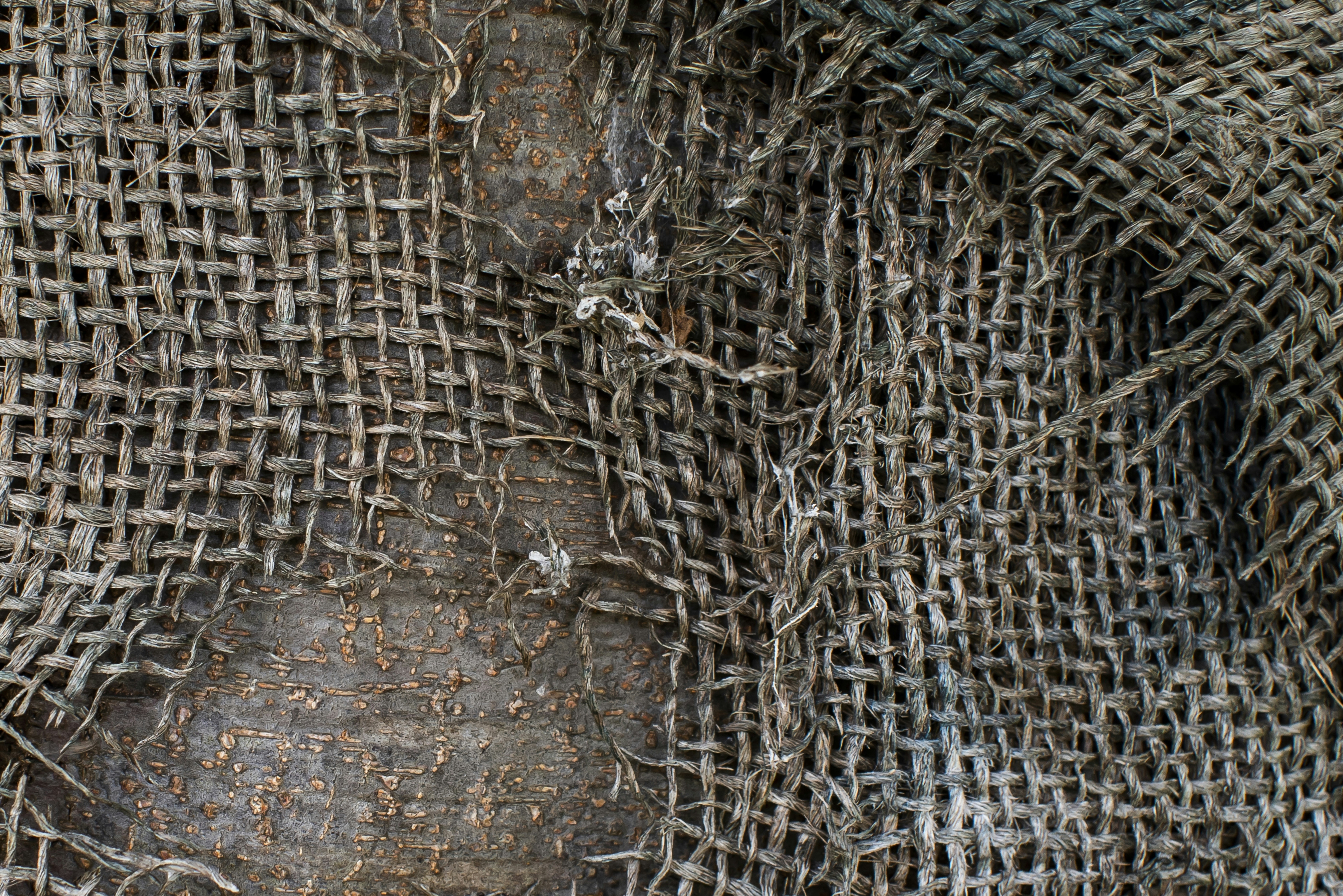 a close up of a chain link fence