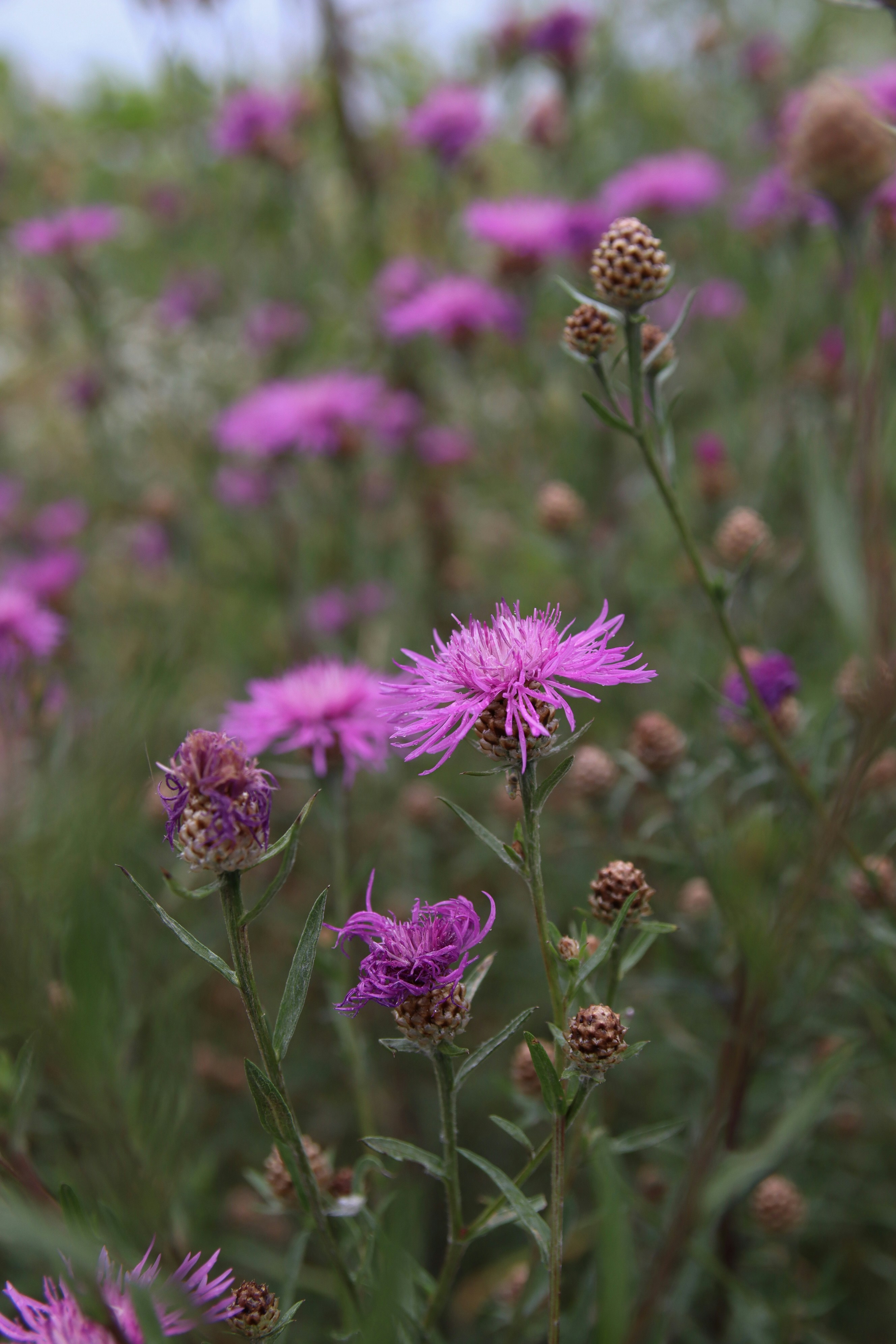 Photo by feeling_hope