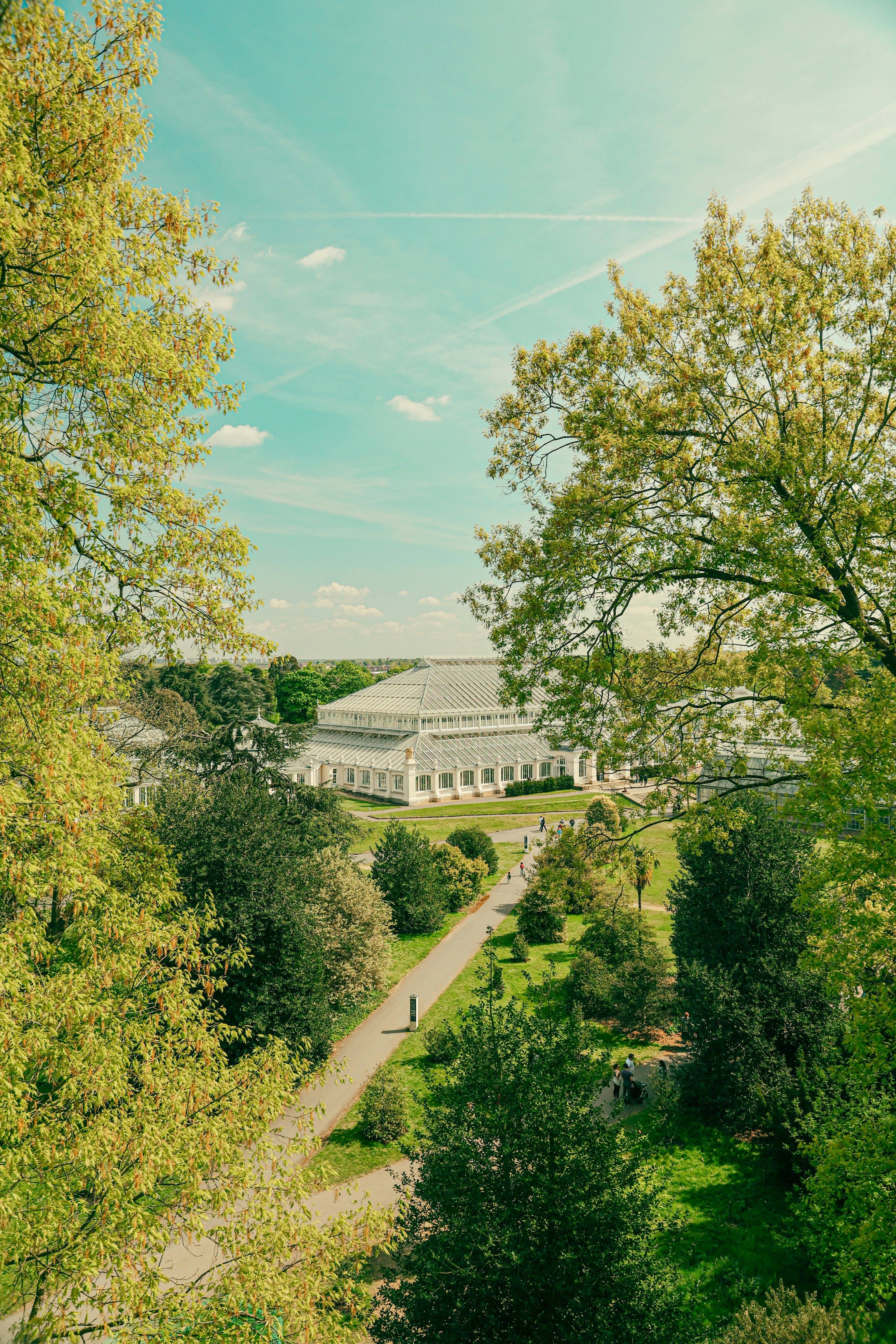 un bâtiment avec une route et des arbres autour