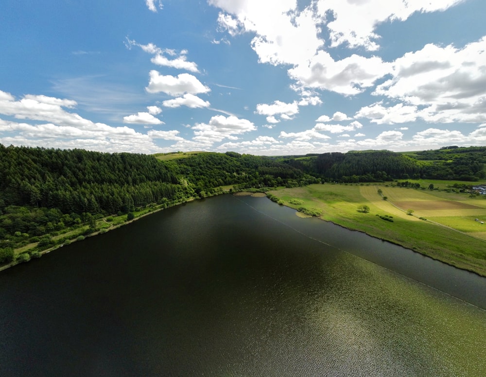 a river with grass and trees