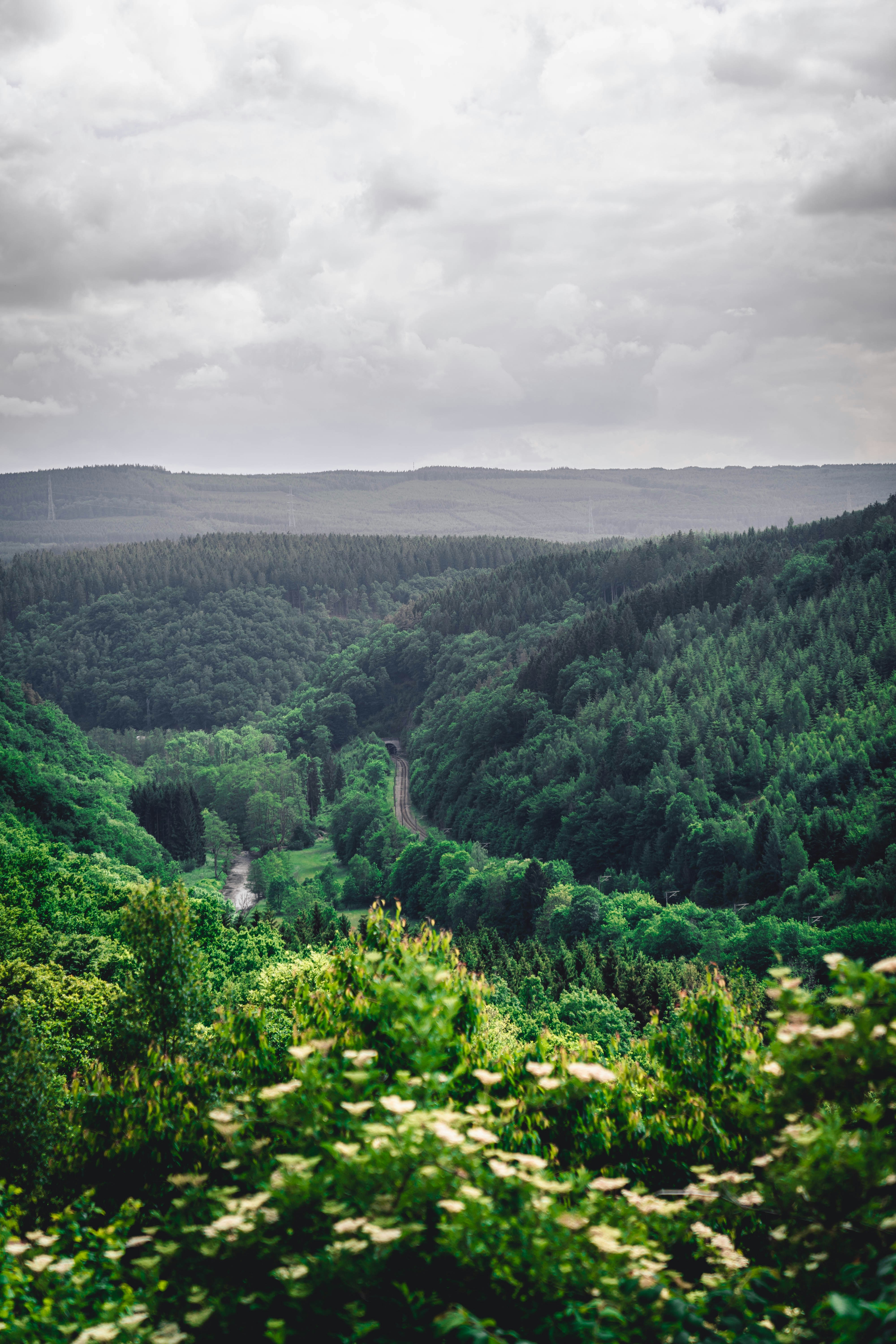 Photo by niels_kamphorst