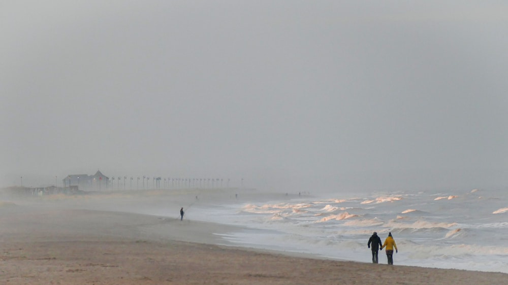 people walking on a beach