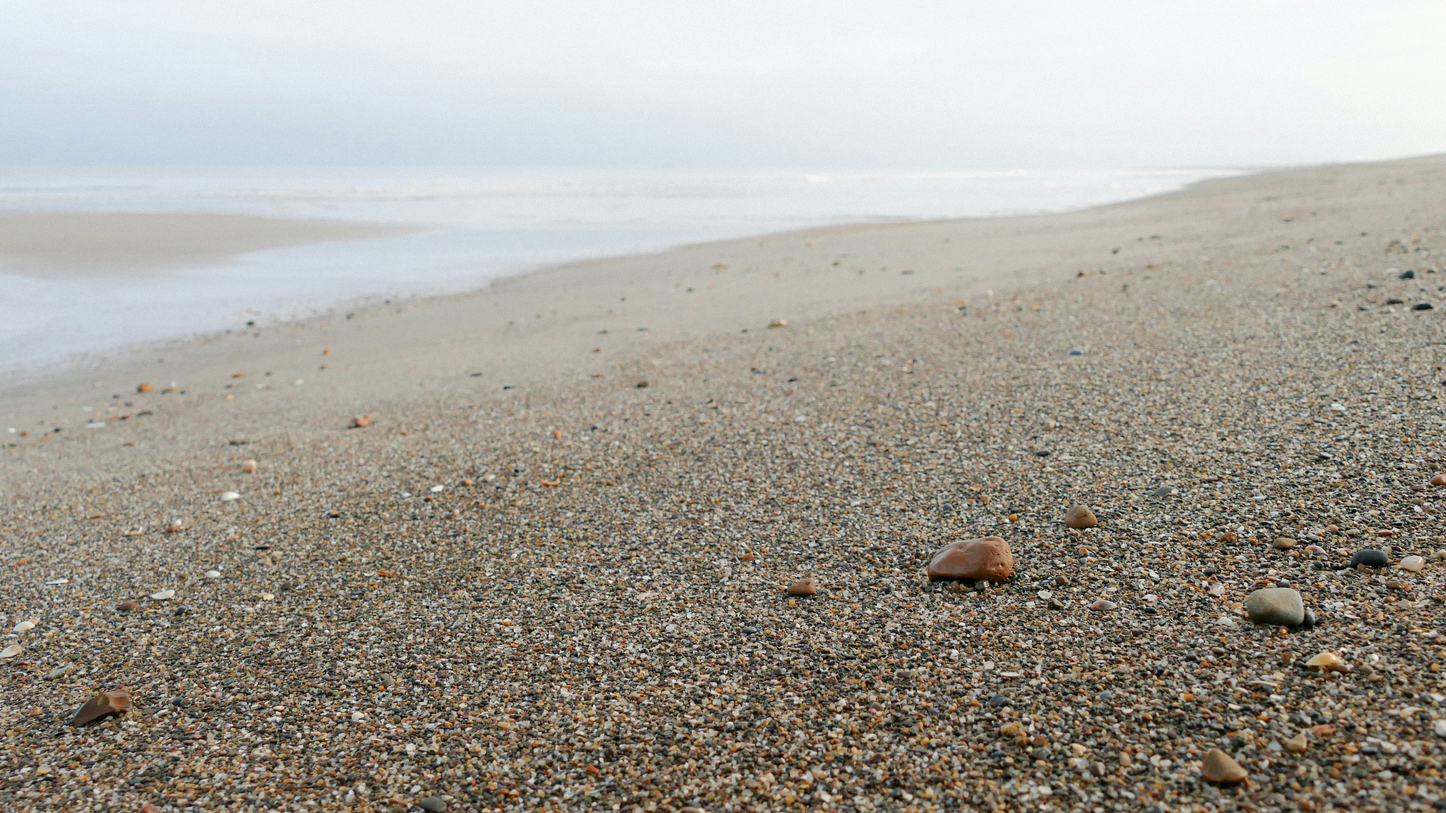 Kıbrıs'ta Deniz Kaplumbağaları Tehlikede