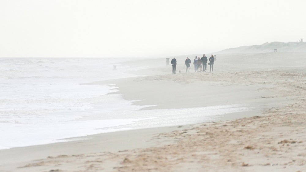 a group of people walking on a beach